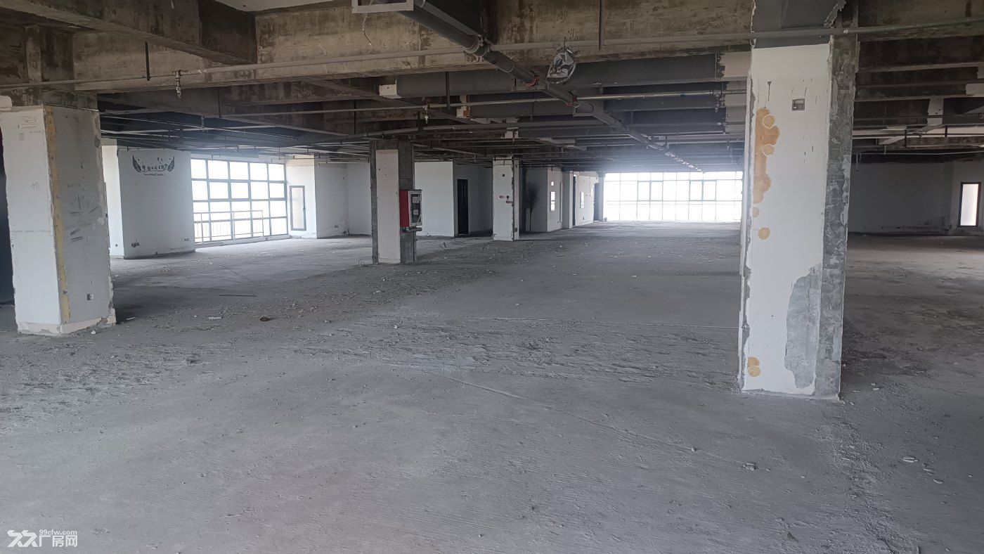 南京市江北新区自贸区10000平米厂房招租 - 7