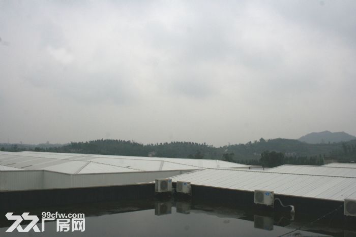 全新钢架结构厂房招租 - 2