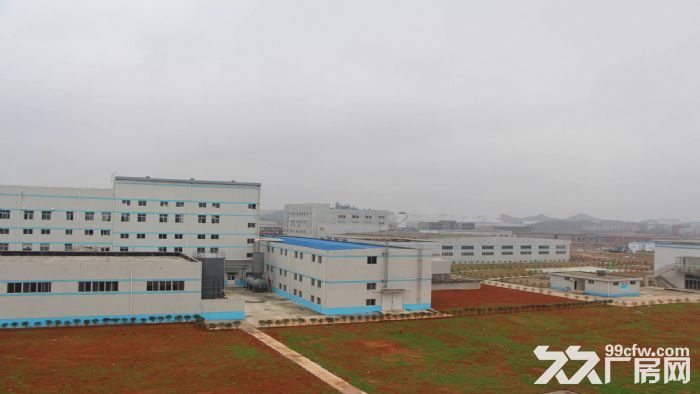 东莞市东部区23251平方独院厂房出售(国有证件)