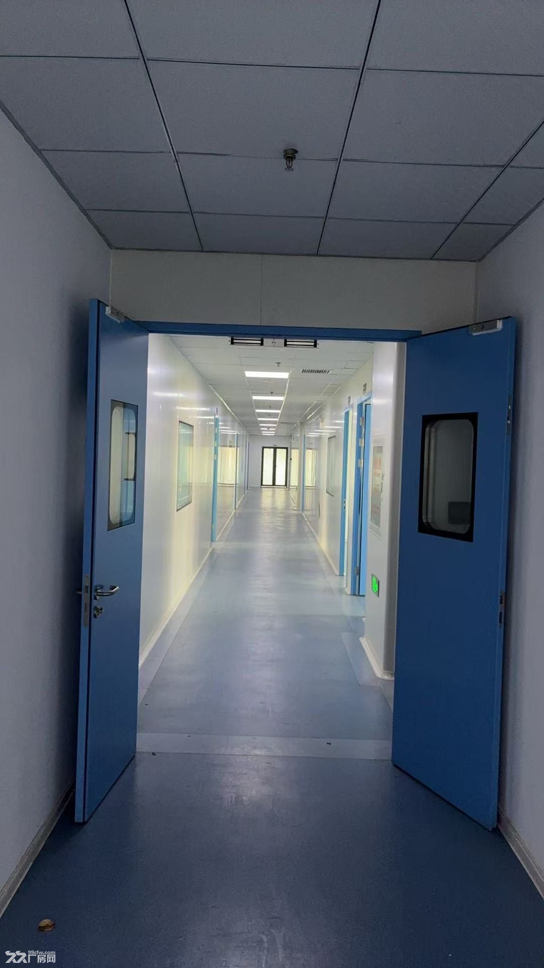 光谷东1300㎡精装实验室捡漏 - 5
