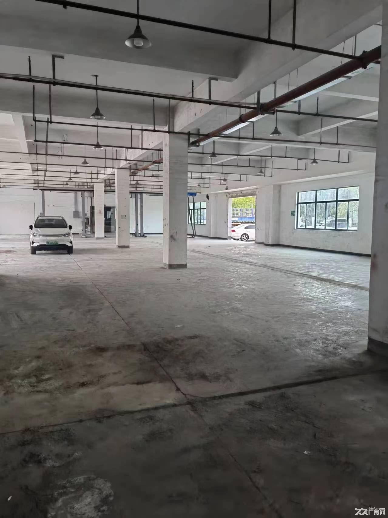南汇园区520平标准厂房出租消防喷淋证件齐全104板块空地大 - 4