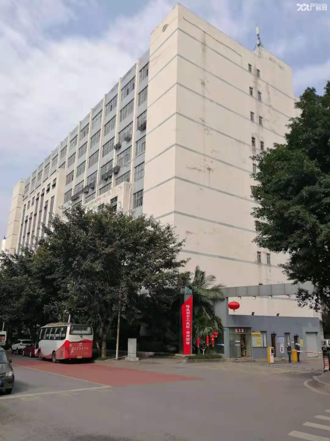 江北区寸滩曙光都市工业园B区厂房仓库出租 - 6