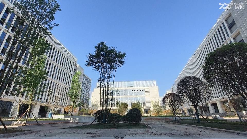 达州青网科技园 全新厂房写字楼直租 - 6