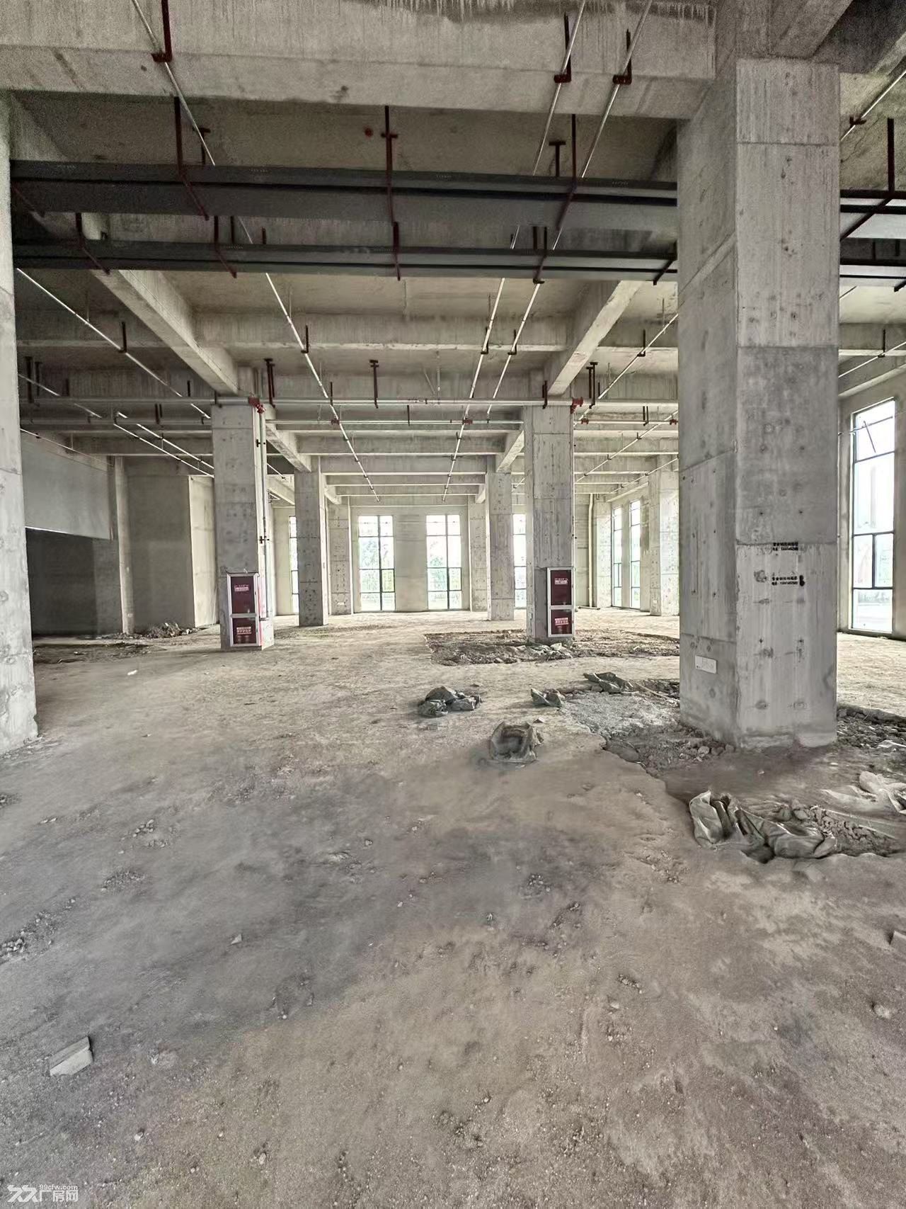 全新厂房价格实惠，福利多多整个奉贤性价比最高厂房 - 5