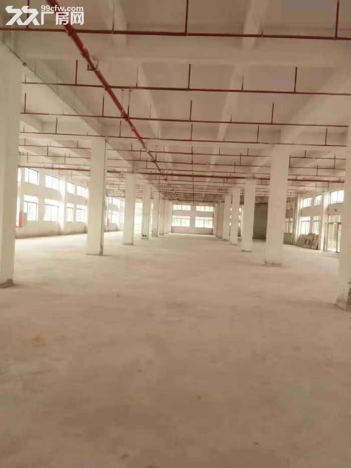 台山水步工业新城标准厂房2000平方招租，水电齐全消防合格 - 5