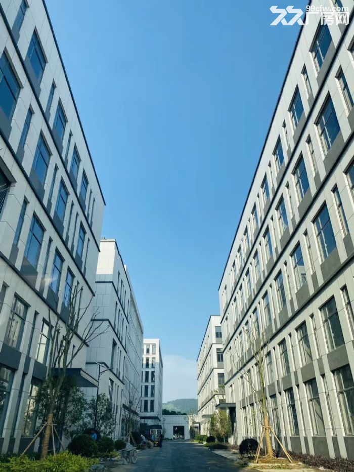 南通金沙高新区标准独栋厂房出售出租