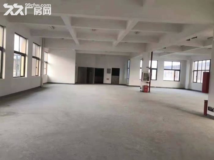 非中介上海金山和浙江嘉兴平湖交汇处三层独栋价格0.65可谈 - 3