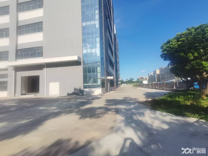 寮步新出原房东新建重工业全新独院价格超低 - 5