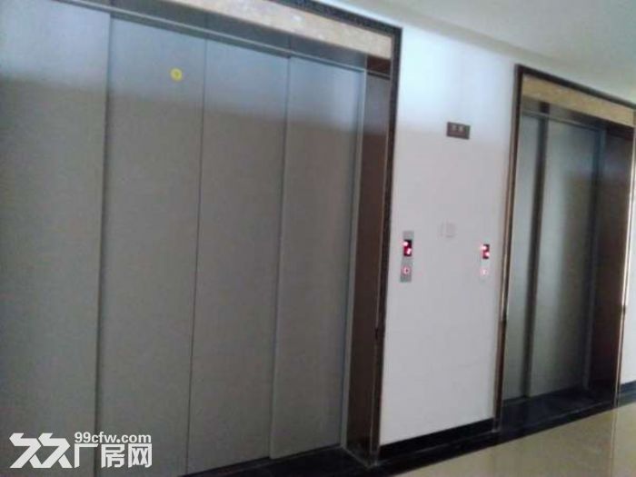 自贸区、星沙经开区1楼厂房 仓库 展厅 带装修 500-1000平方米 - 2