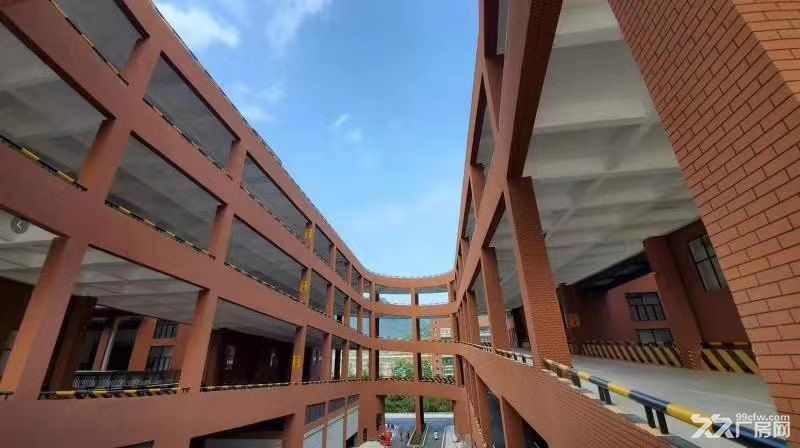 九龙坡中梁山壹本科C区厂房仓库出租 - 4