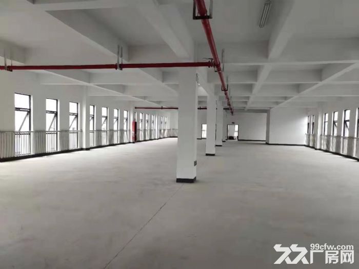 标准层高,双层户型,50年独立产权,精装交付 - 2