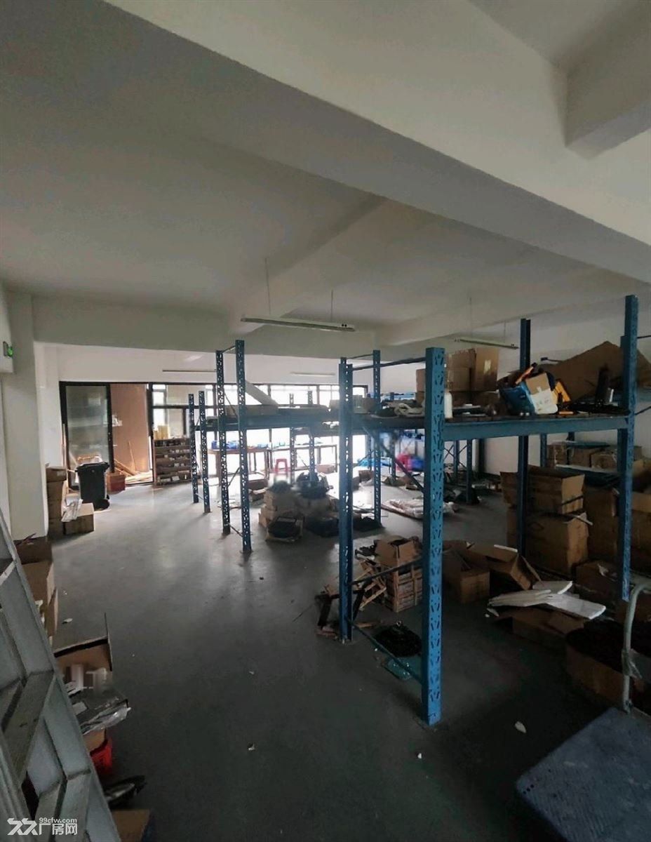 房东出租：南翔独栋精装704平带露台地下车库通燃气行业不限制 - 4
