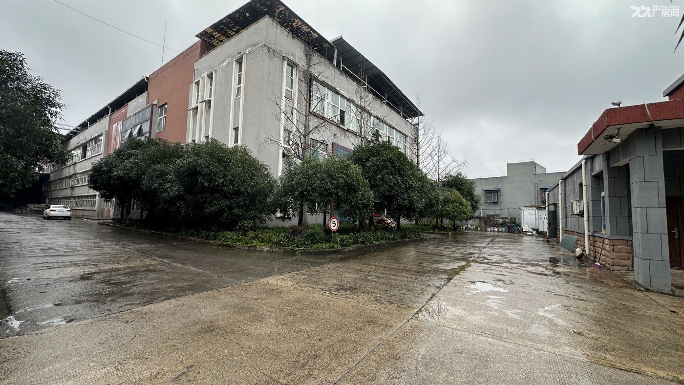 青杠独院标准厂房紧急出租,价格便宜 - 4