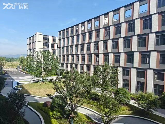杭州富阳全新现房厂房,高品质花园厂房,独立产权分割到户入园有返税政策 - 3
