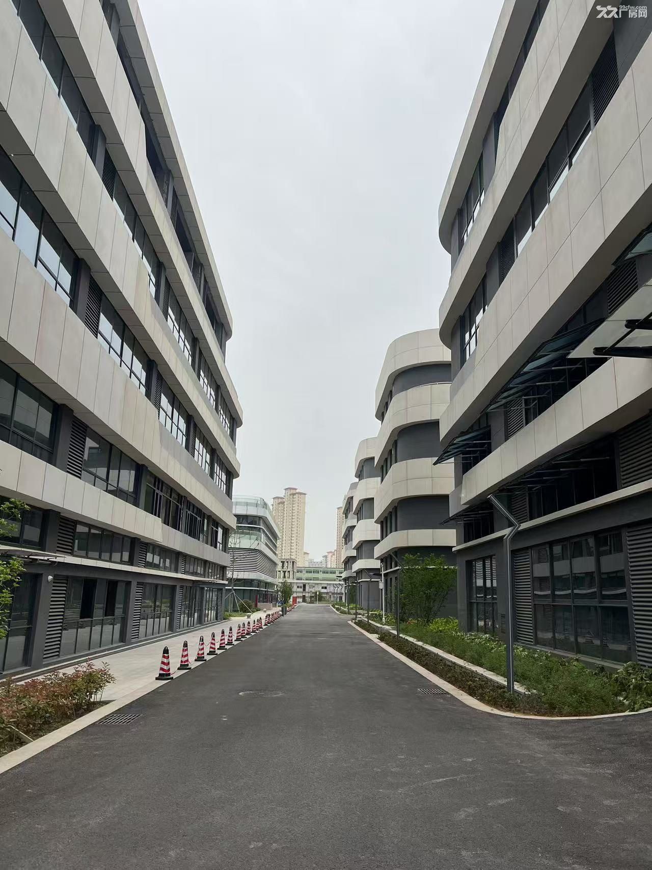 市区独栋厂房赠送露台一年办证 - 4