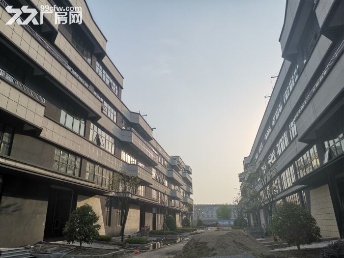 稀缺厂房标准厂房上海周边3000平可注册可环评 - 7
