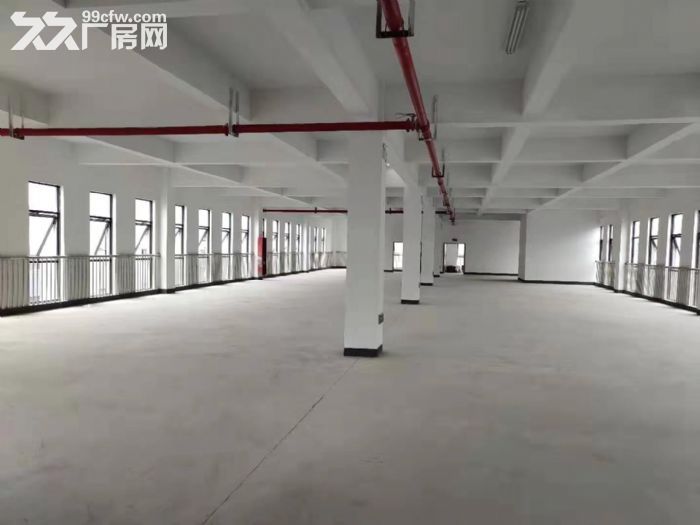 标准层高,双层户型,50年独立产权,精装交付 - 4