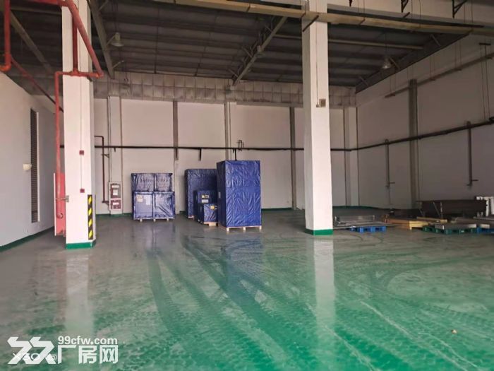 AA苏虹东路一楼1800平标准厂房  环氧地坪  交通方便 - 2