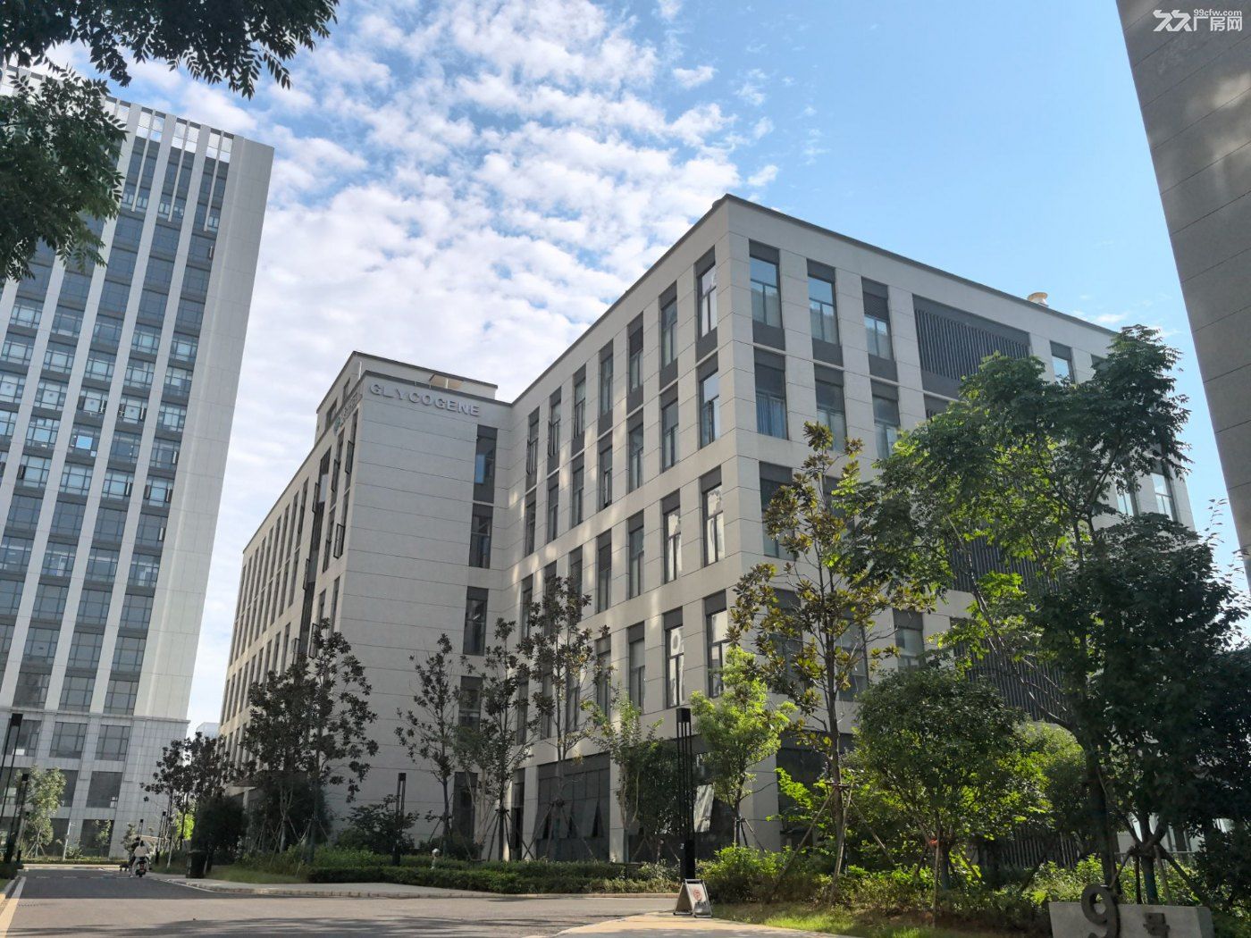 生物城研发楼实验室带装修厂房低价出租,无转让费 - 4