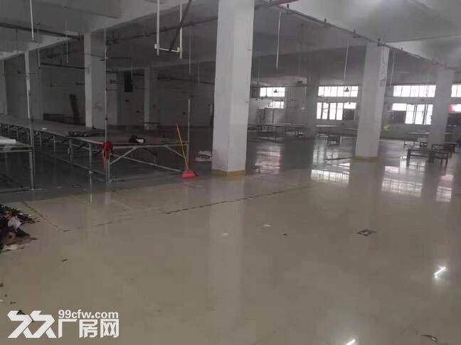 番禺南村服装行业基地，出租标准厂房700方，格局方正，价格便宜