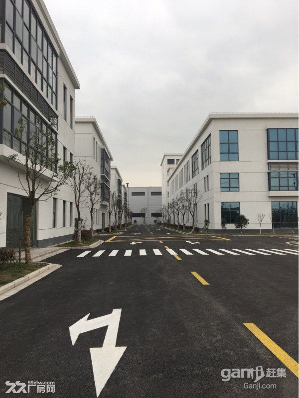 104兴邦路厂房仓库900到1200到3000独栋形象好 - 3