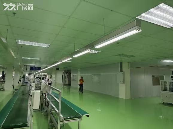 南岸区电子厂房,临近东站,出入运输方便 - 2