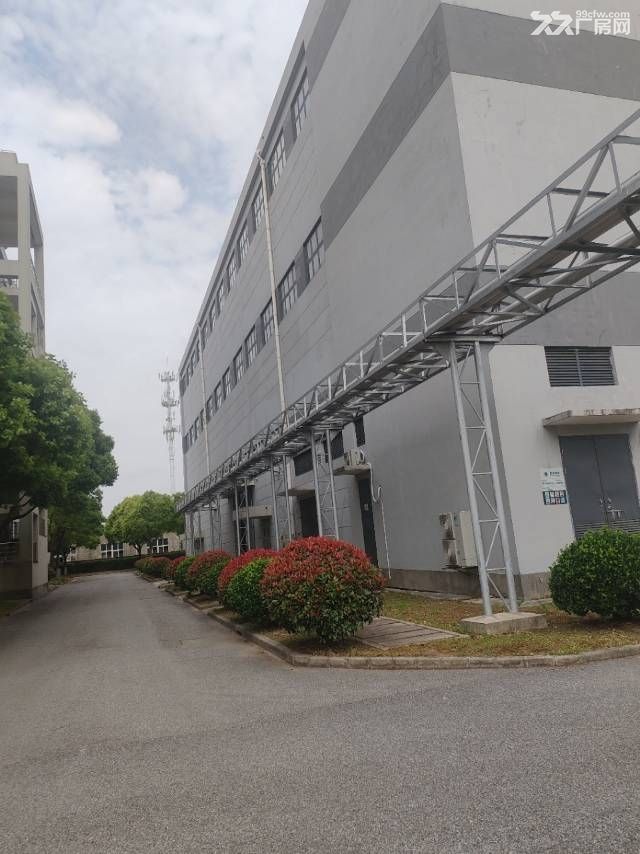 奉贤104地块7万多厂房出租 - 2