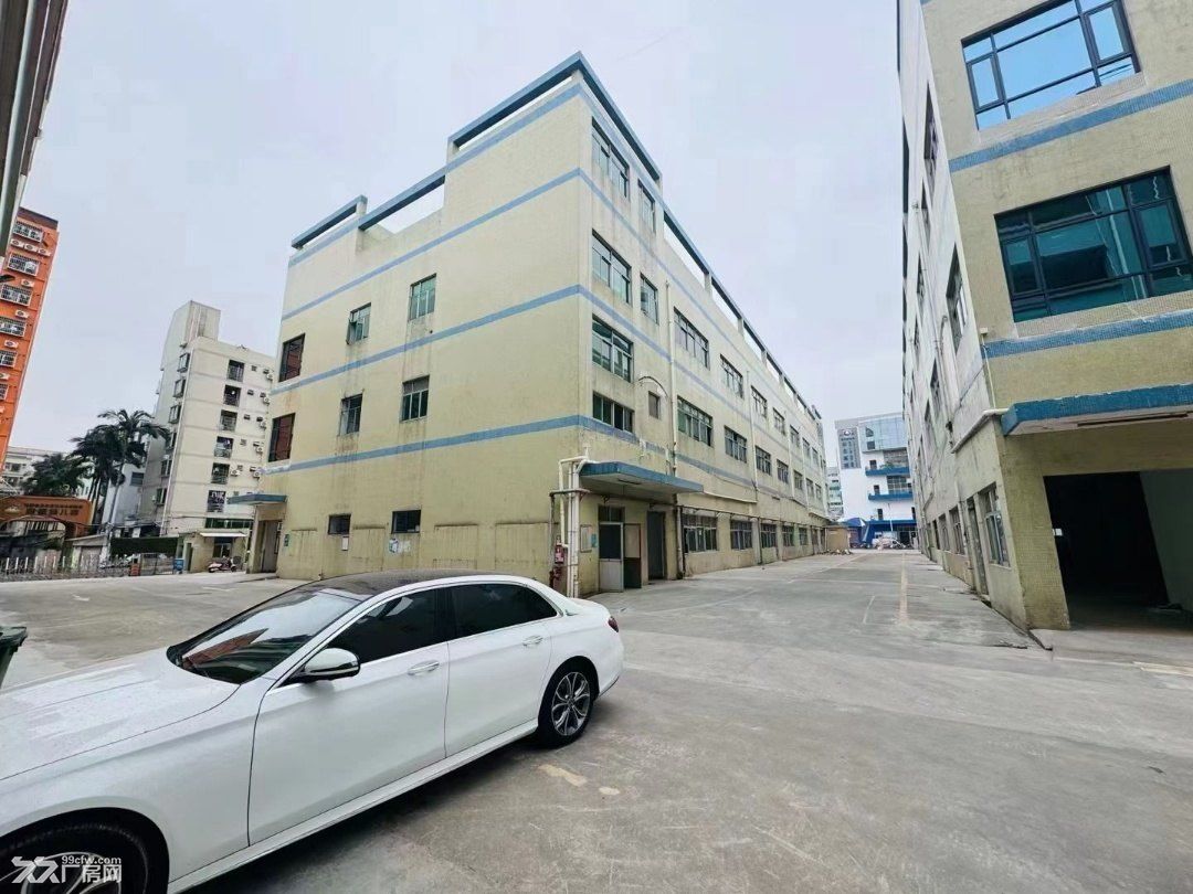 龙华油松独院红本厂房 全新升级整栋6500平厂房出租 - 3