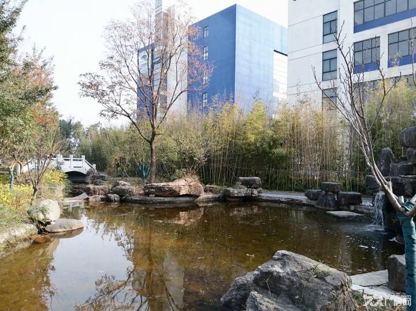 南通竹行高速口旁标准厂房出租1700平可分层 - 3