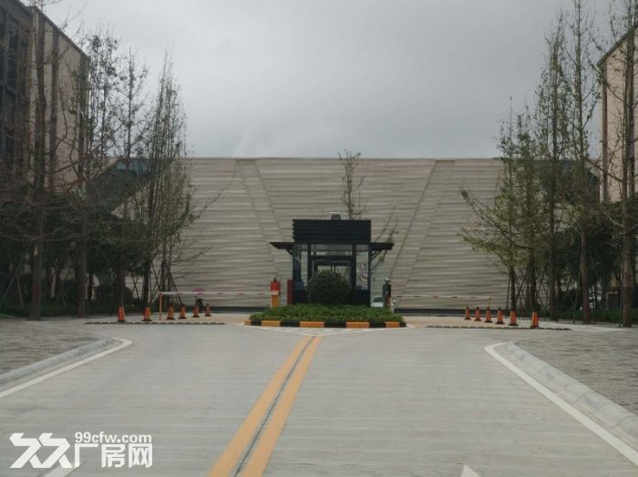 天府新区50年产权厂房分割出售高标准可办公研发生产