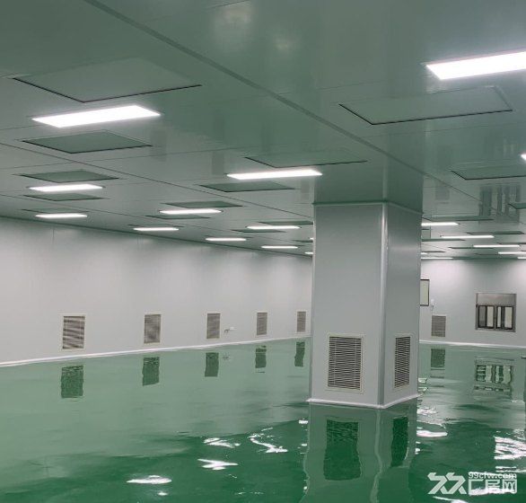 宝山友谊街道 互联宝地 近地铁,1600平厂房出租,含无尘间 洁净室,装修全新 - 6