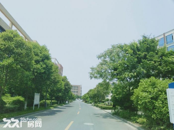厂房出售个人不是中介 - 5