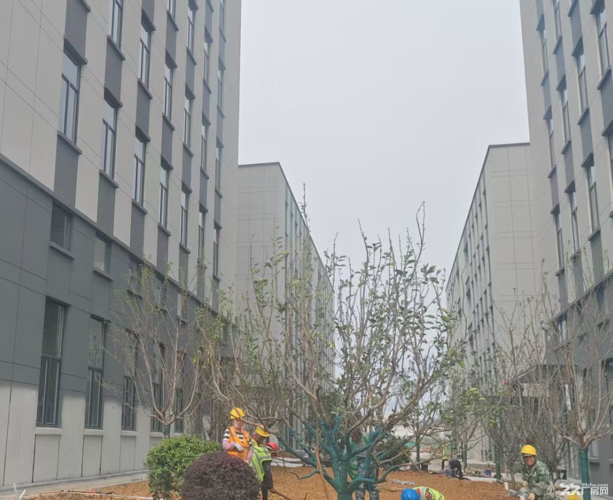 江宁大学城旁独栋厂房首付2成可贷款，配套全，交通方便 - 5