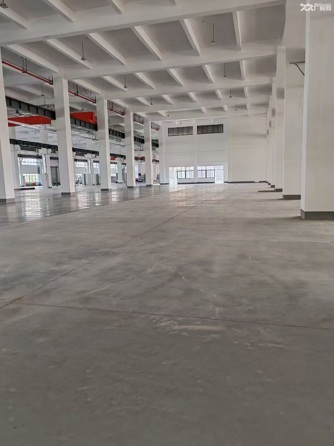 房东直租高标新工业厂房 - 4