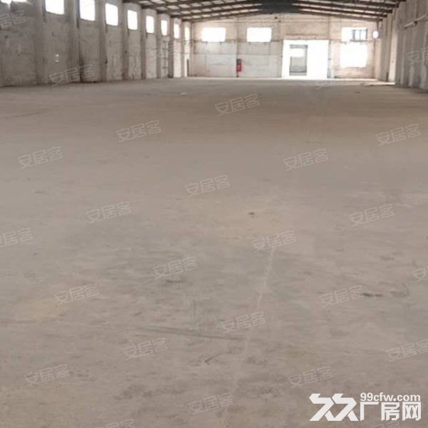 江门新会司前独院工业园厂房30000平方招租,可分栋出租 - 2