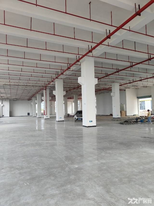 惠州市博罗县石湾镇最新独院厂房出租56000平方,金刚砂地面 - 2
