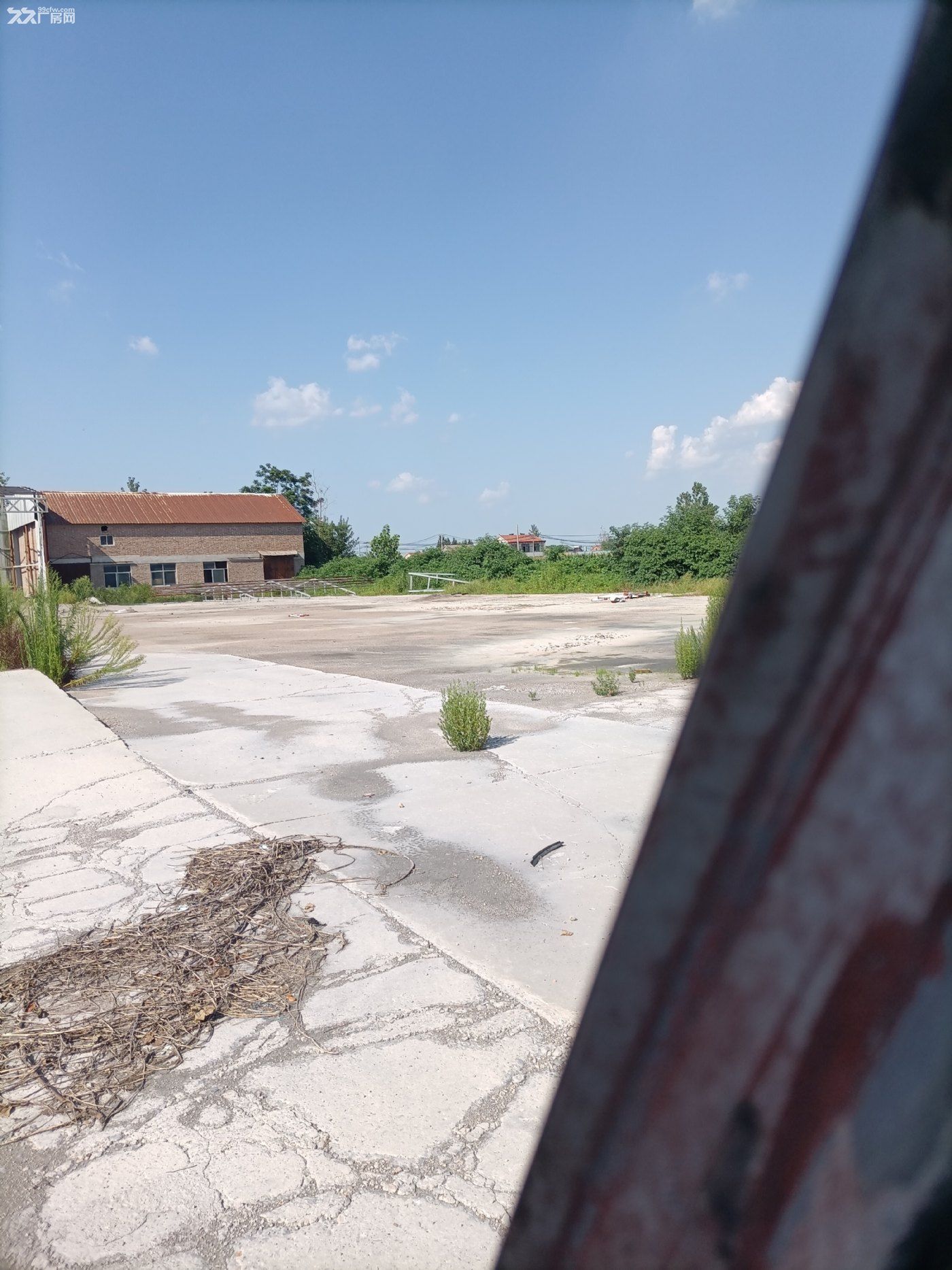 个人独院厂房场地出租 - 2