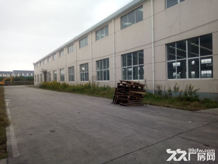 奉城 独门独院12000平 高8米 带空地5亩 - 6