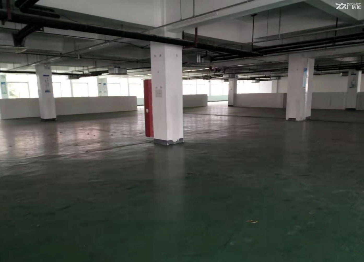 产业园3600平通道户型出租 - 6