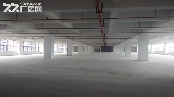 东莞市凤岗镇12000平米一楼厂房出租 (可分租) - 2
