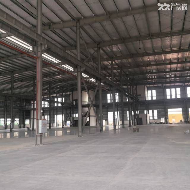 凤凰湖6000方独栋厂房出租 - 5