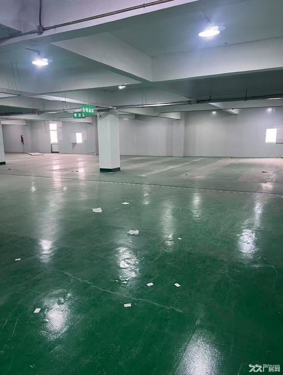 。南翔陈翔路88号厂房大减价大车好进出大小好分割 - 6