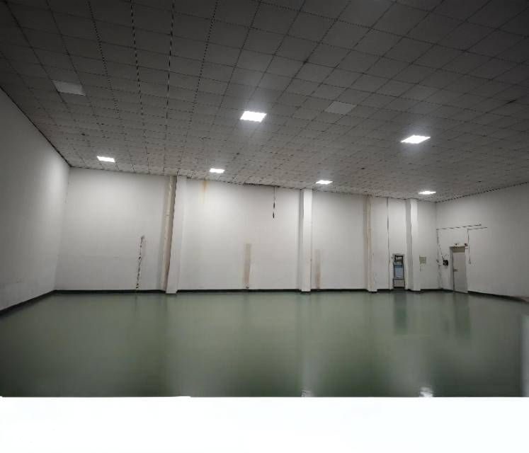 江阳商贸城五亭龙附近300和400平米800平米一楼砖混结构 - 3