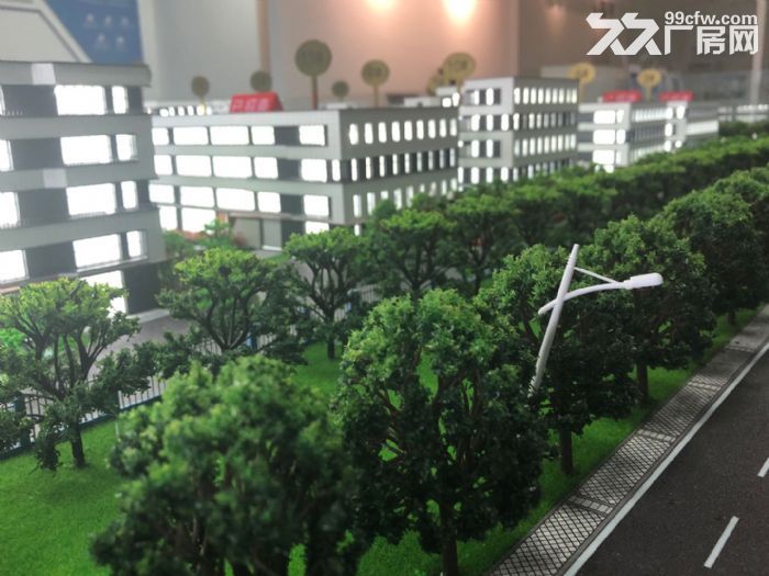 平湖稀缺小户型厂房出售2380平标准厂房可注册可环评 - 5