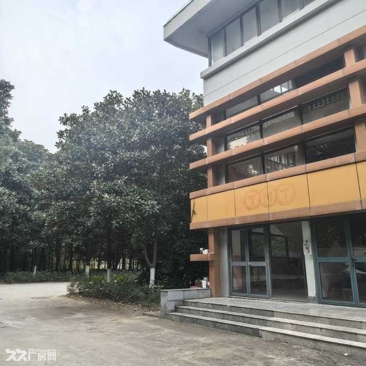 南京江宁九龙湖海尔曼斯产业园办公室招租 非中介 园区直租 - 2
