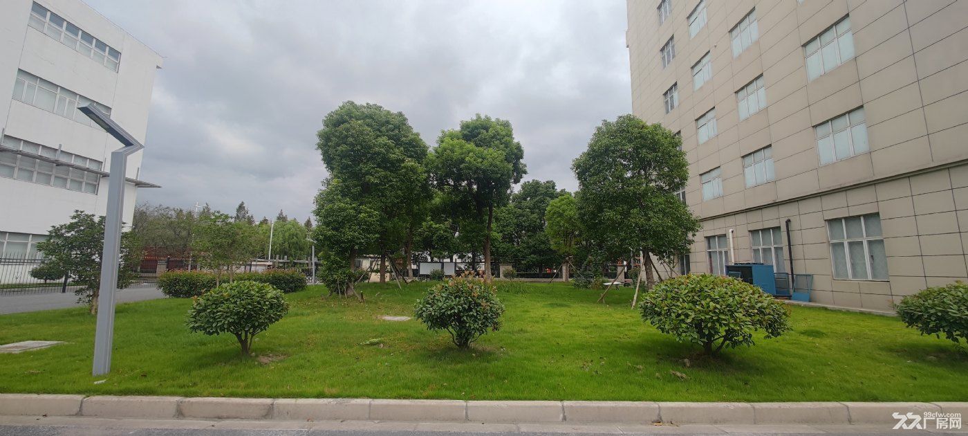 上海奉贤临港自贸区,全新独门独院独栋厂房出租,104板块,无尘车间 - 3