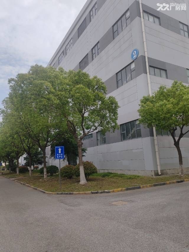 奉贤104地块7万多厂房出租