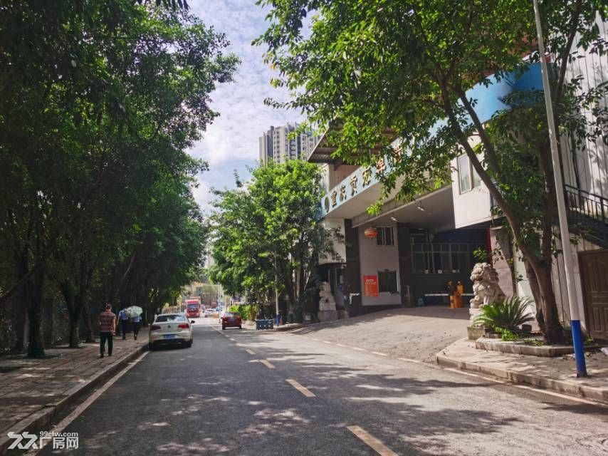 巴南鱼洞金竹工业园,可厂房可仓库可分租,临街 - 8