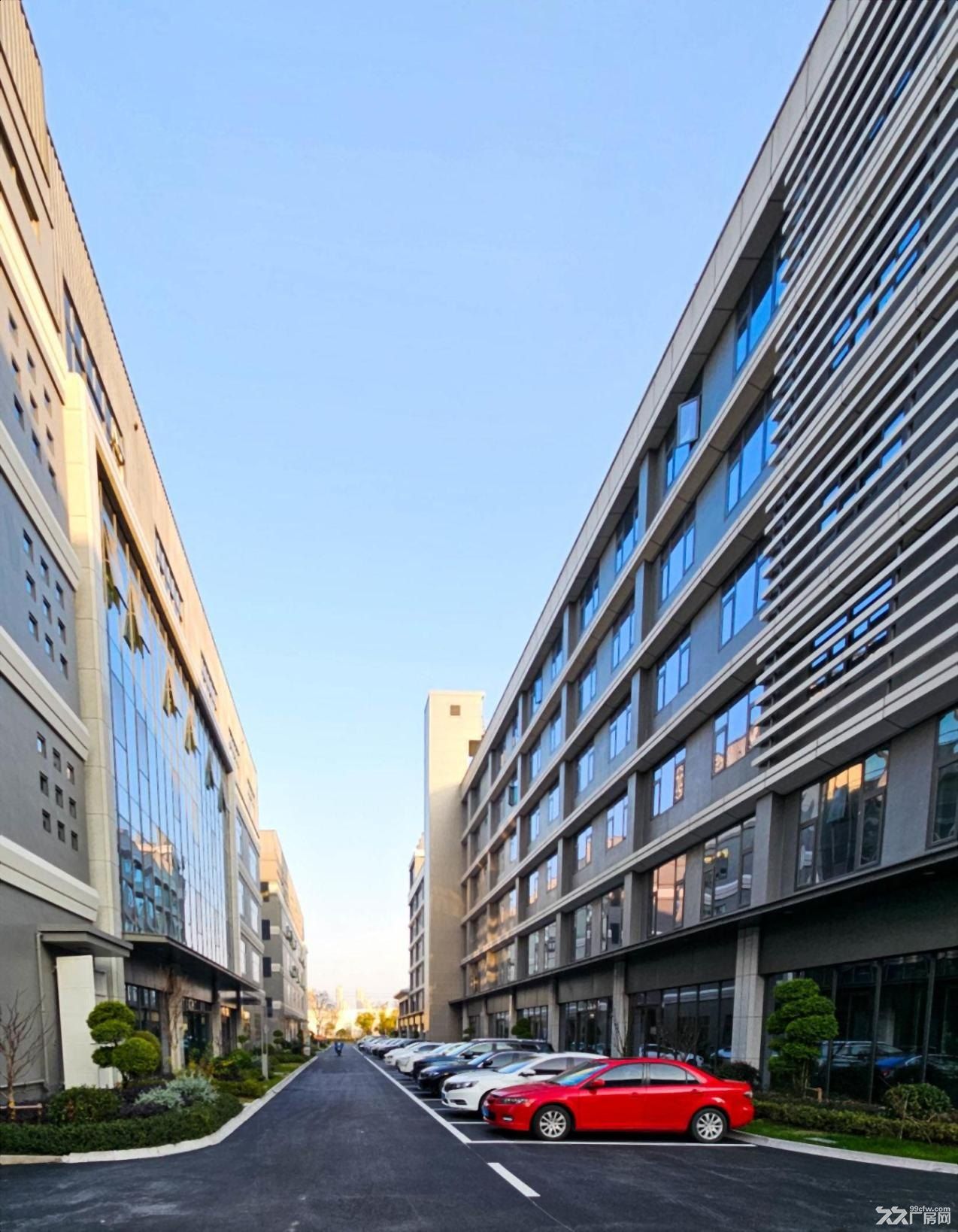 园区直租!下沙江滨丨标准厂房 五百方起租 可分隔 厂房 仓库 - 2