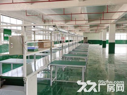 江门台山水步工业新城独院工业园厂房仓库2000平方招租 - 8